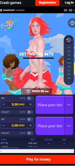 pin up payment instrument